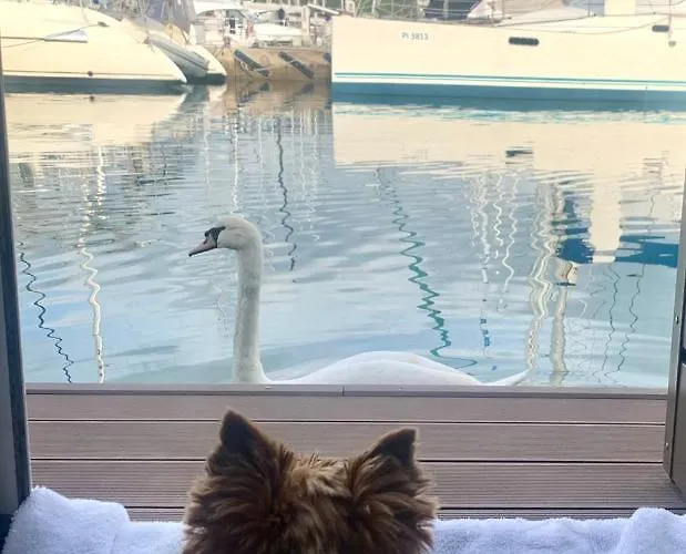 Apartament Bonita Houseboat *